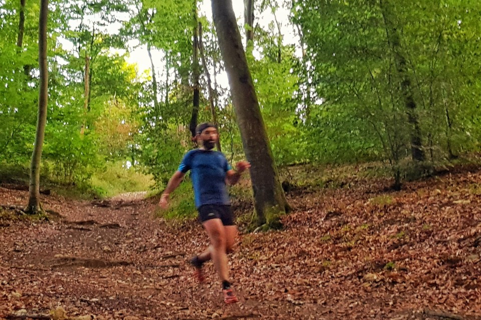 Trail running Fontainebleau