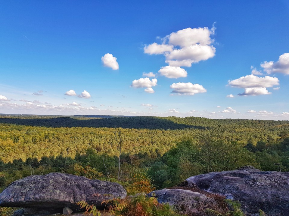 point de vue foret fontainebleau imperial trail