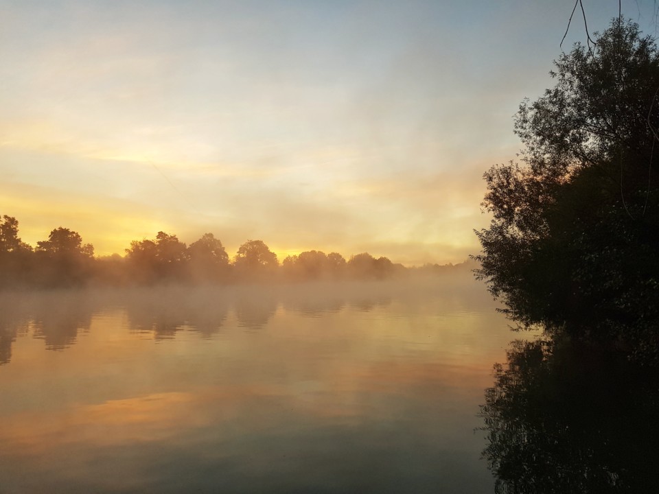 bois le roi bords de seine