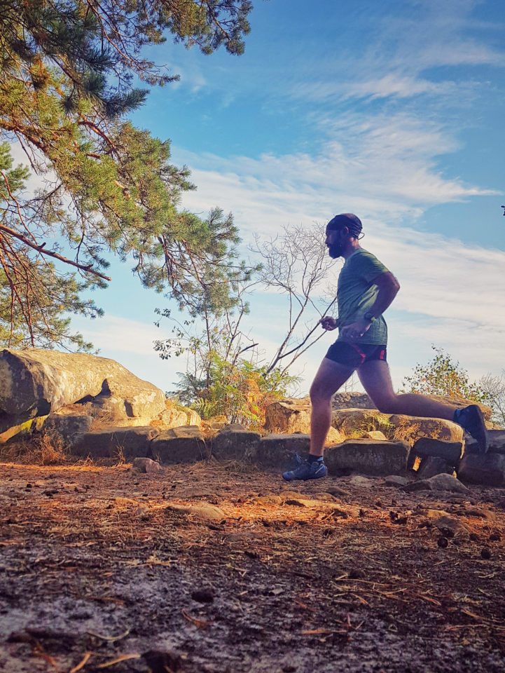 trail foret de fontainebleau