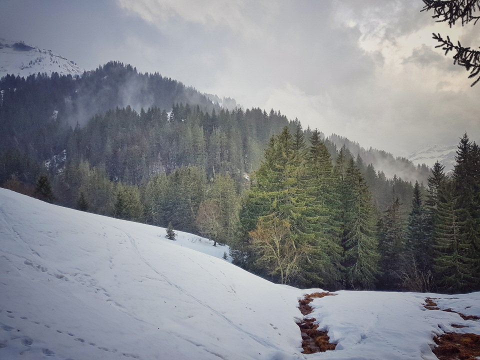 Praz-sur-Arly