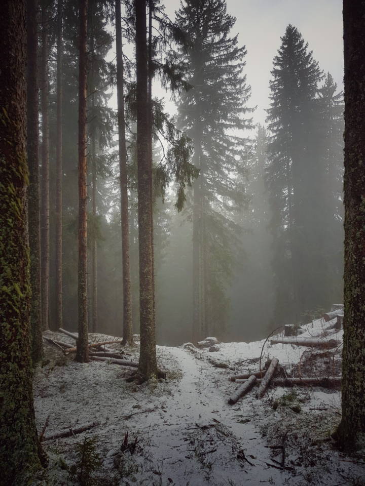 Praz-sur-Arly