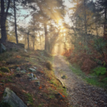 Chemin de fontainebleau