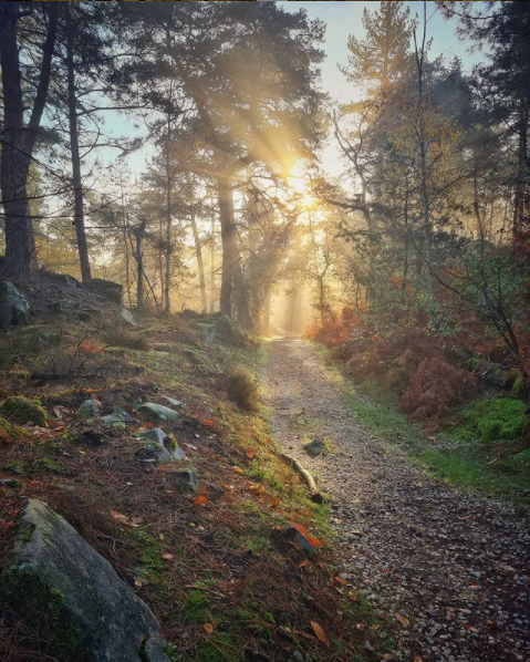 Chemin de fontainebleau