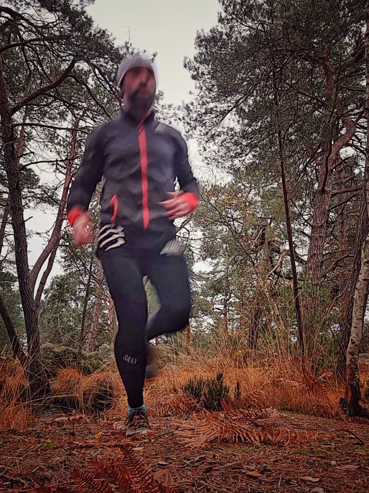 Trail en forêt de Fontainebleau